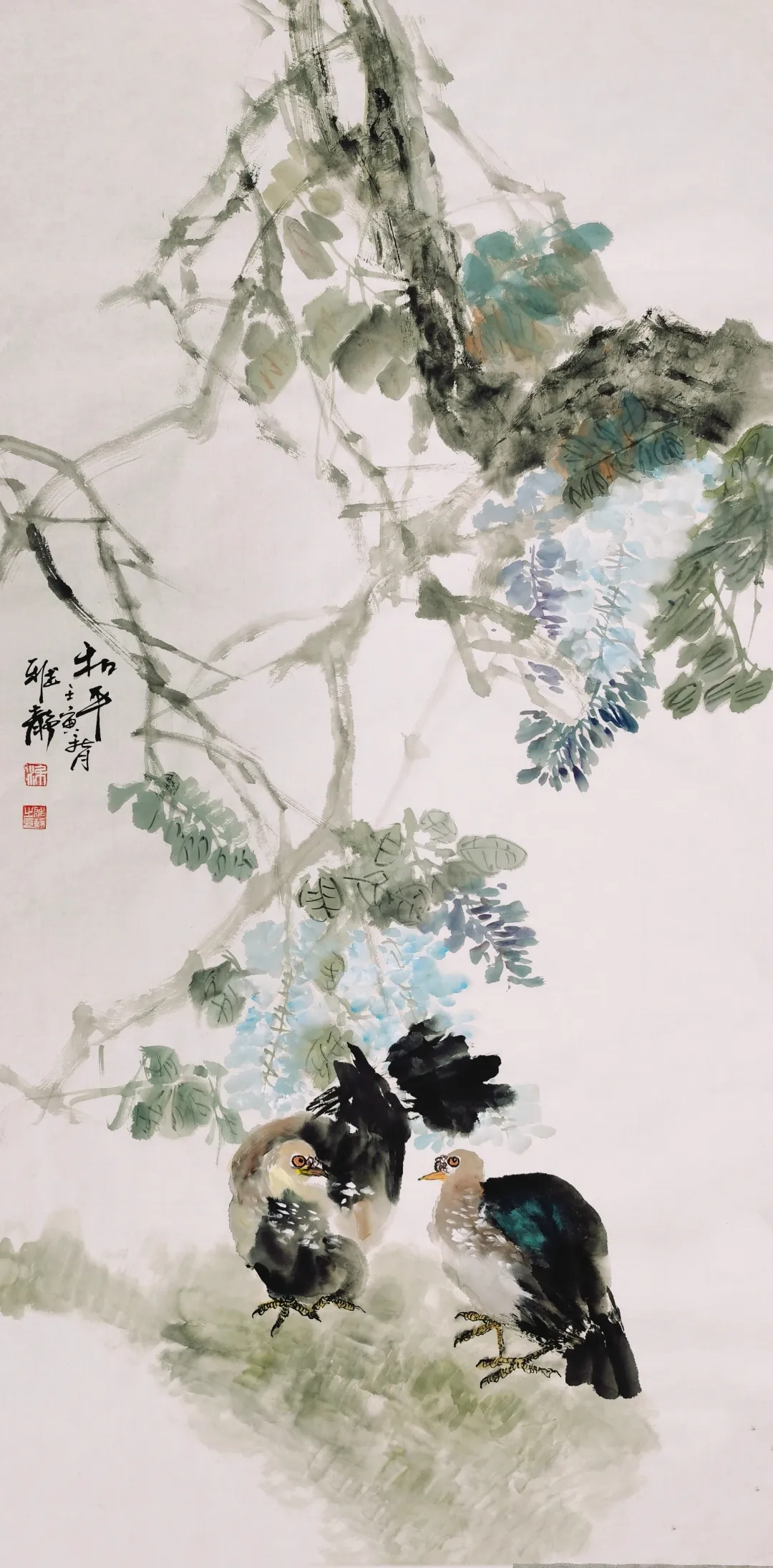图片